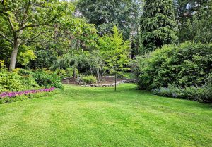 Optimiser l'expérience du jardin à Chauvency-le-Chateau